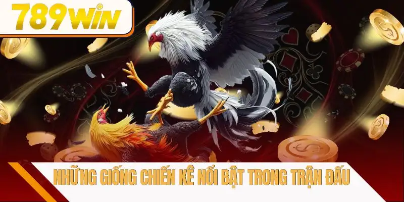 da-ga-789win-nhung-giong-chien-ke