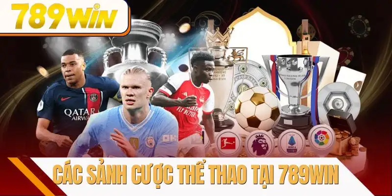 the-thao-789win-cac-sanh-cuoc